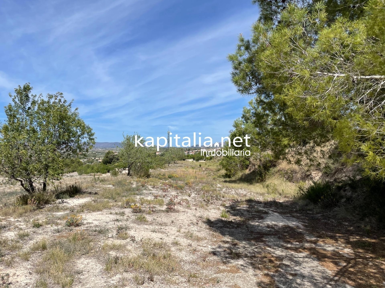  te koop perceel Bufali Vall D'albaida 4