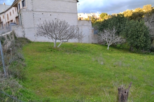 Búger Raiguer tomt foto 6240459