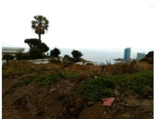 Burgado Zona Norte tomt foto 6201229