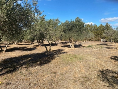 Cabanes Alt Empordà tomt foto 6252501