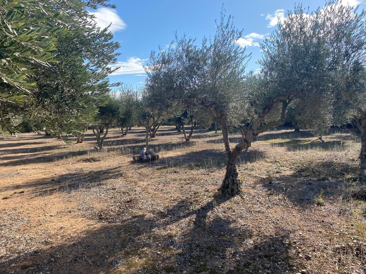 till salu tomt Cabanes Alt Empordà 3