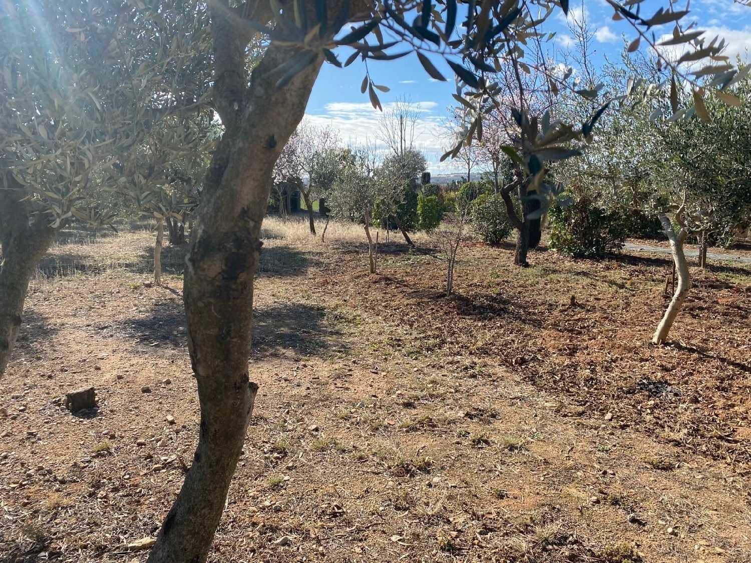  till salu tomt Cabanes Alt Empordà 4
