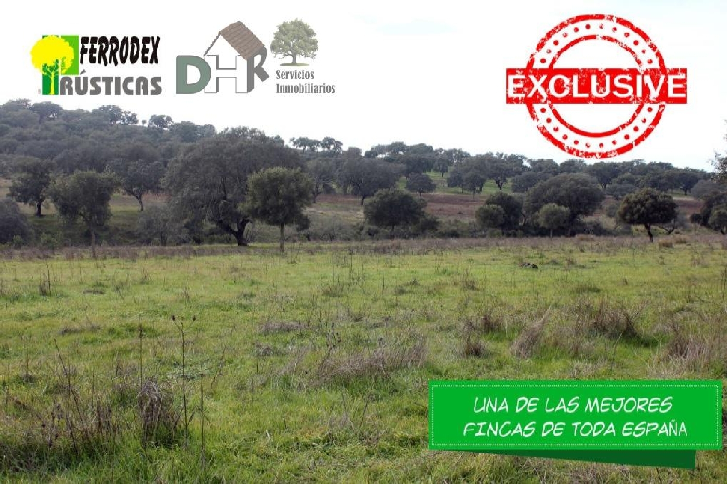  till salu tomt Cáceres 10004 Cáceres 1