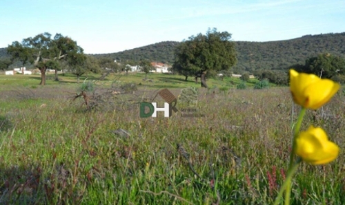 Cáceres Oeste 10001 Cáceres tomt foto 6258007
