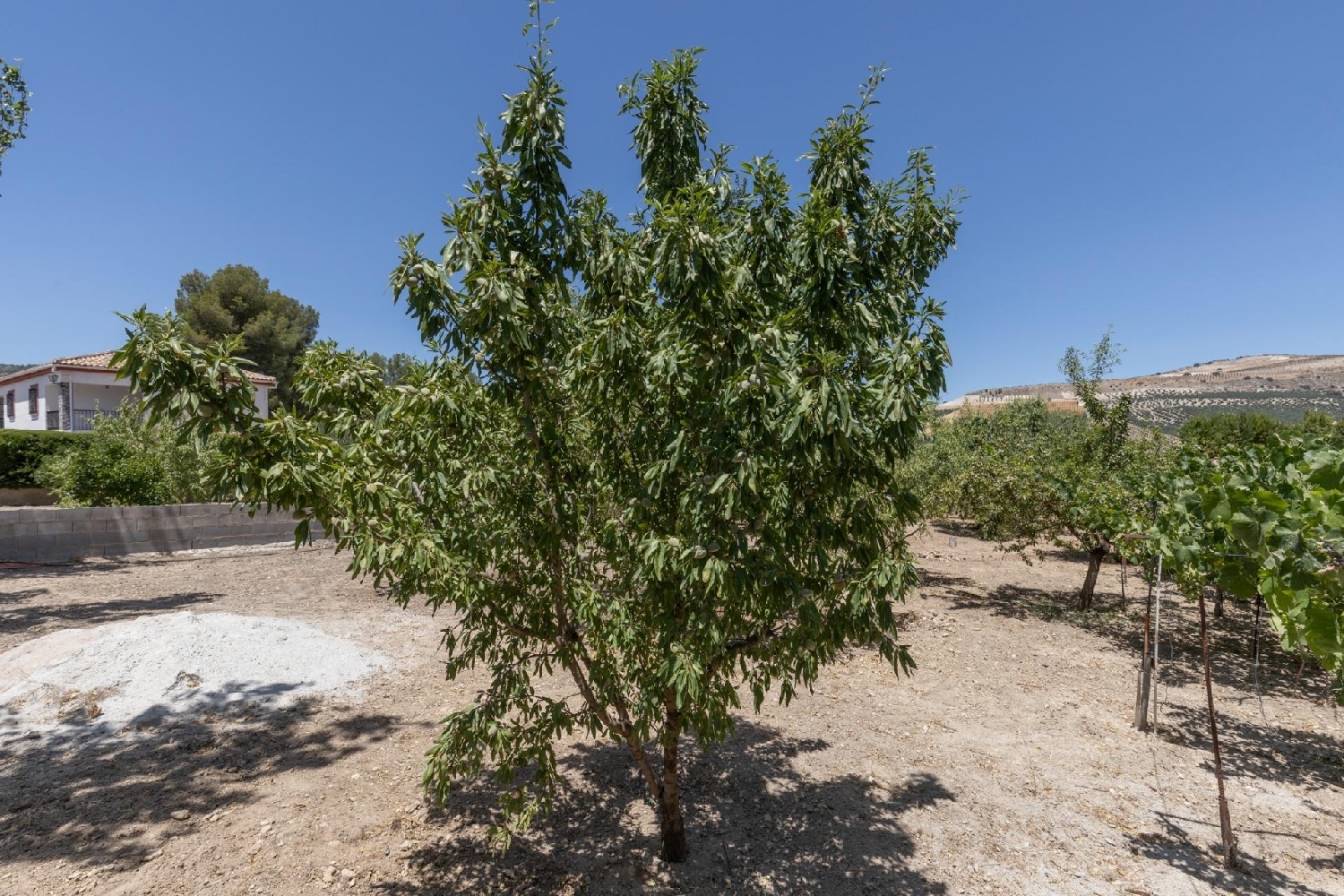  for sale plot Cacín Alhama 5