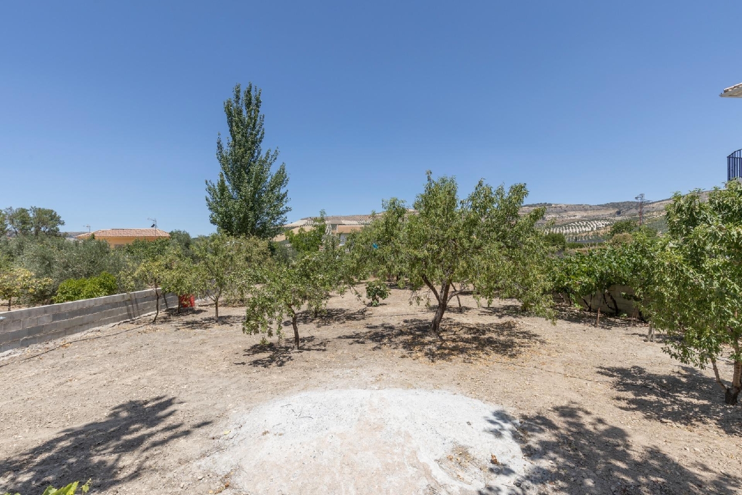  for sale plot Cacín Alhama 6