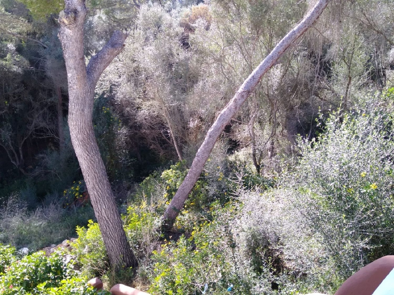  till salu tomt Cala Llombards Sud 4