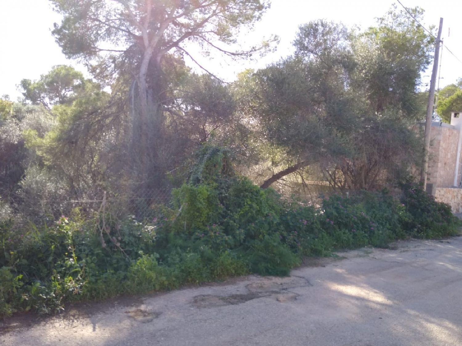  till salu tomt Cala Llombards Sud 6
