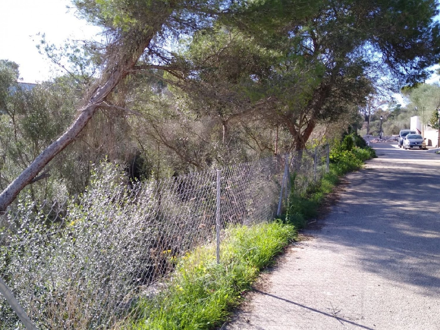 till salu tomt Cala Llombards Sud 3