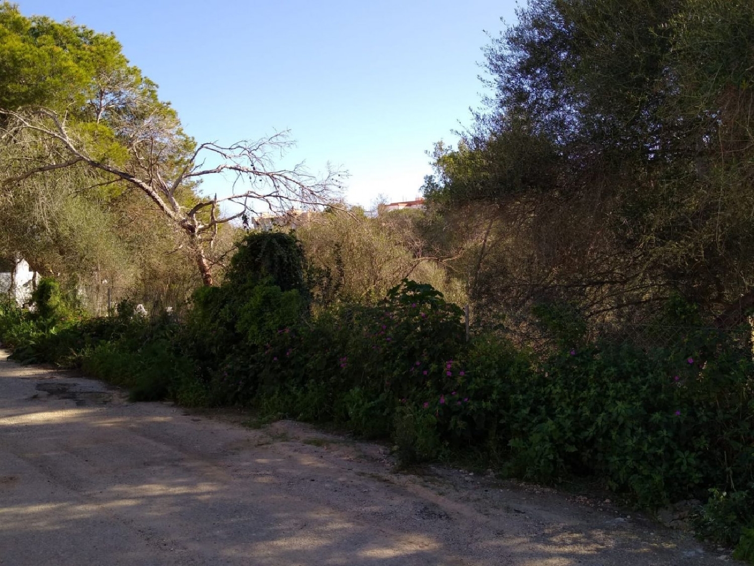  till salu tomt Cala Llombards Sud 5