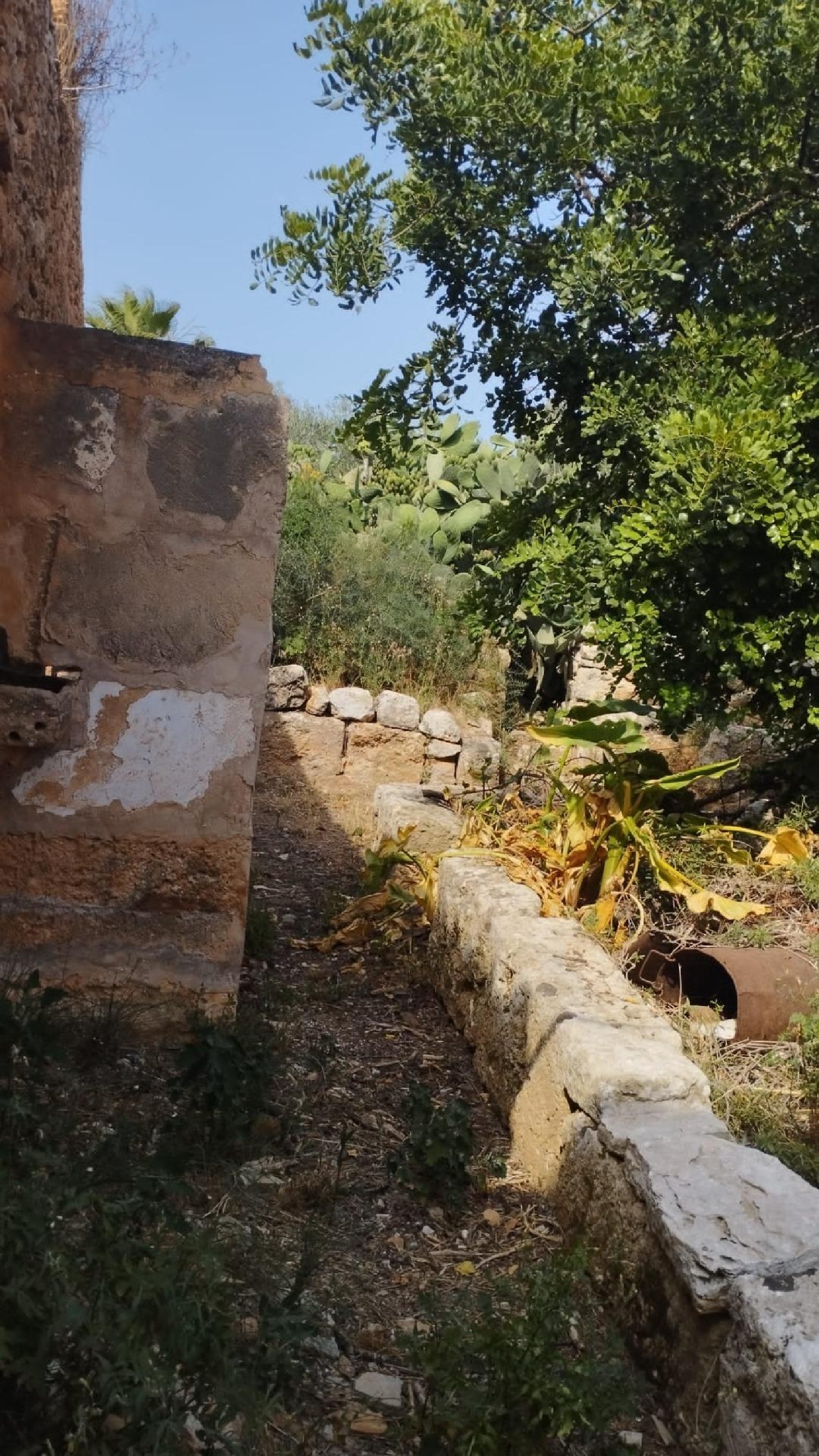  till salu tomt Cala Mondragó Sud 7