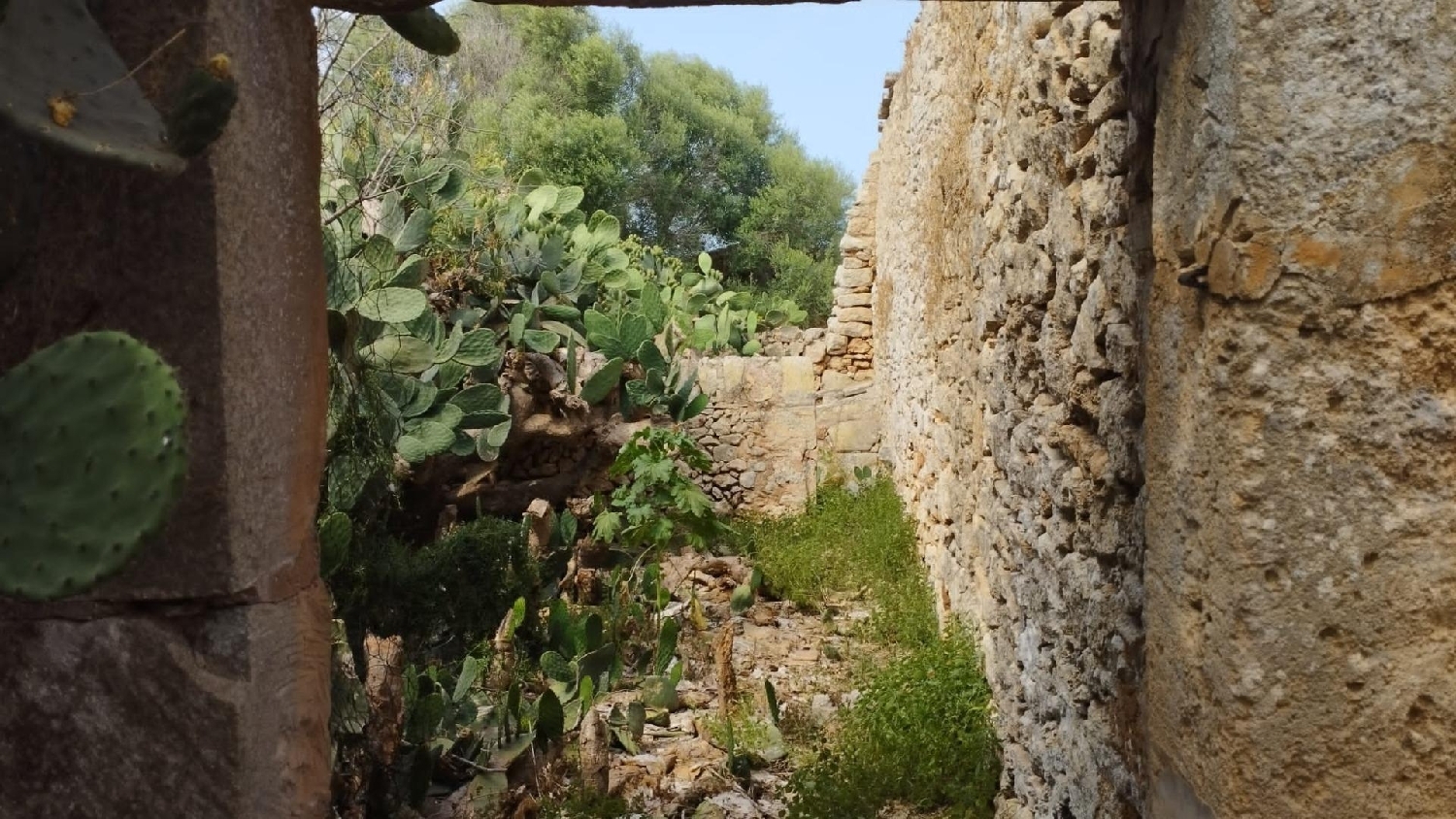  till salu tomt Cala Mondragó Sud 5