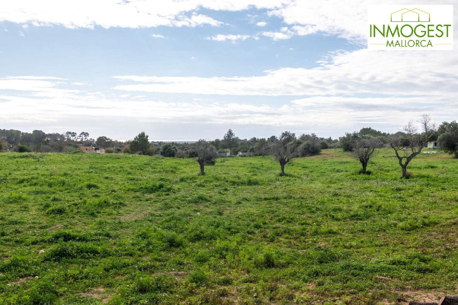  for sale plot Cala Pi Llucmajor 8