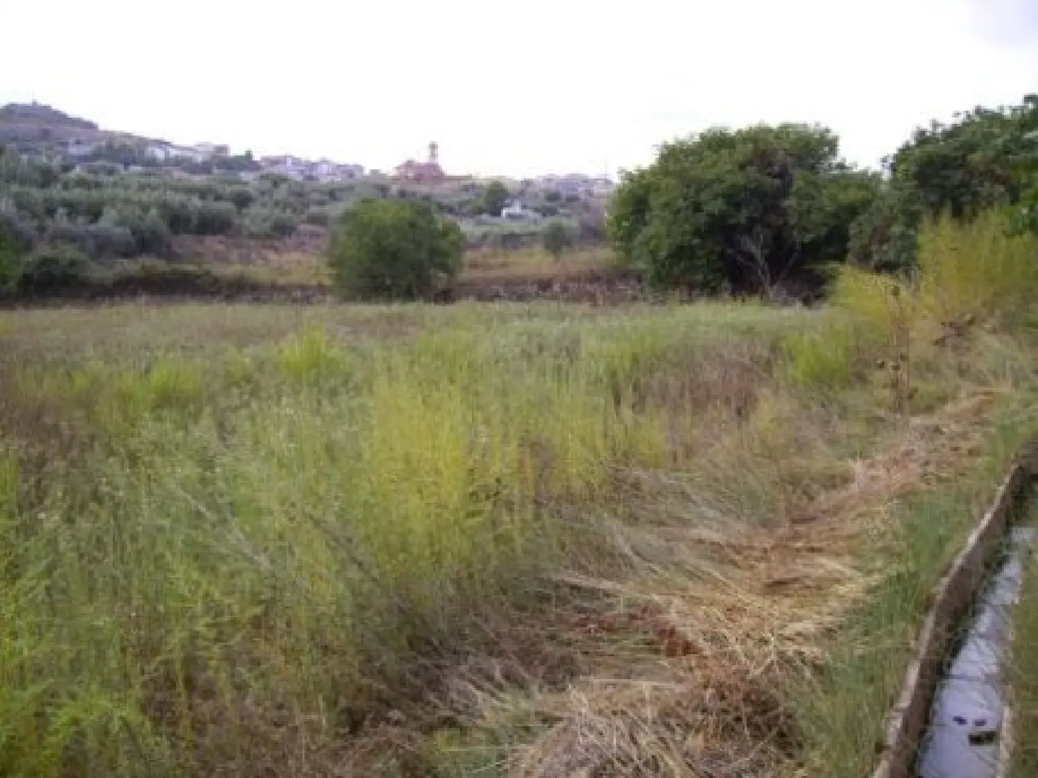  till salu tomt Pantano De Alfonso Xiii Noroeste 1