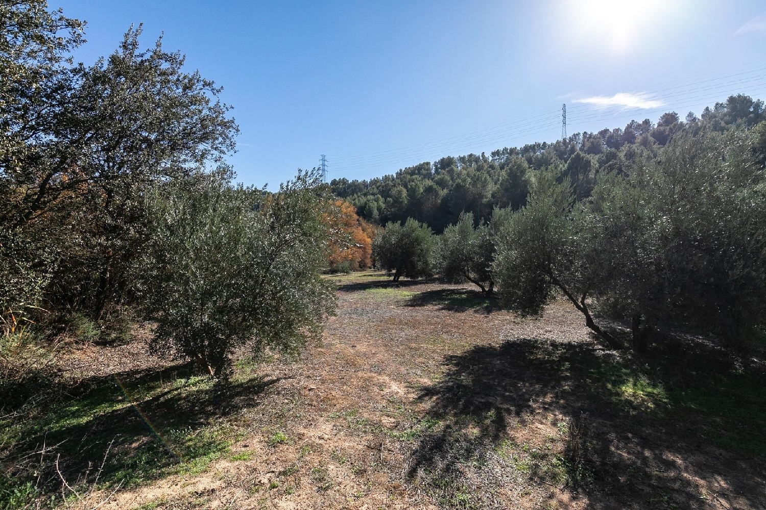  for sale plot Caparacena Vega De Granada 5