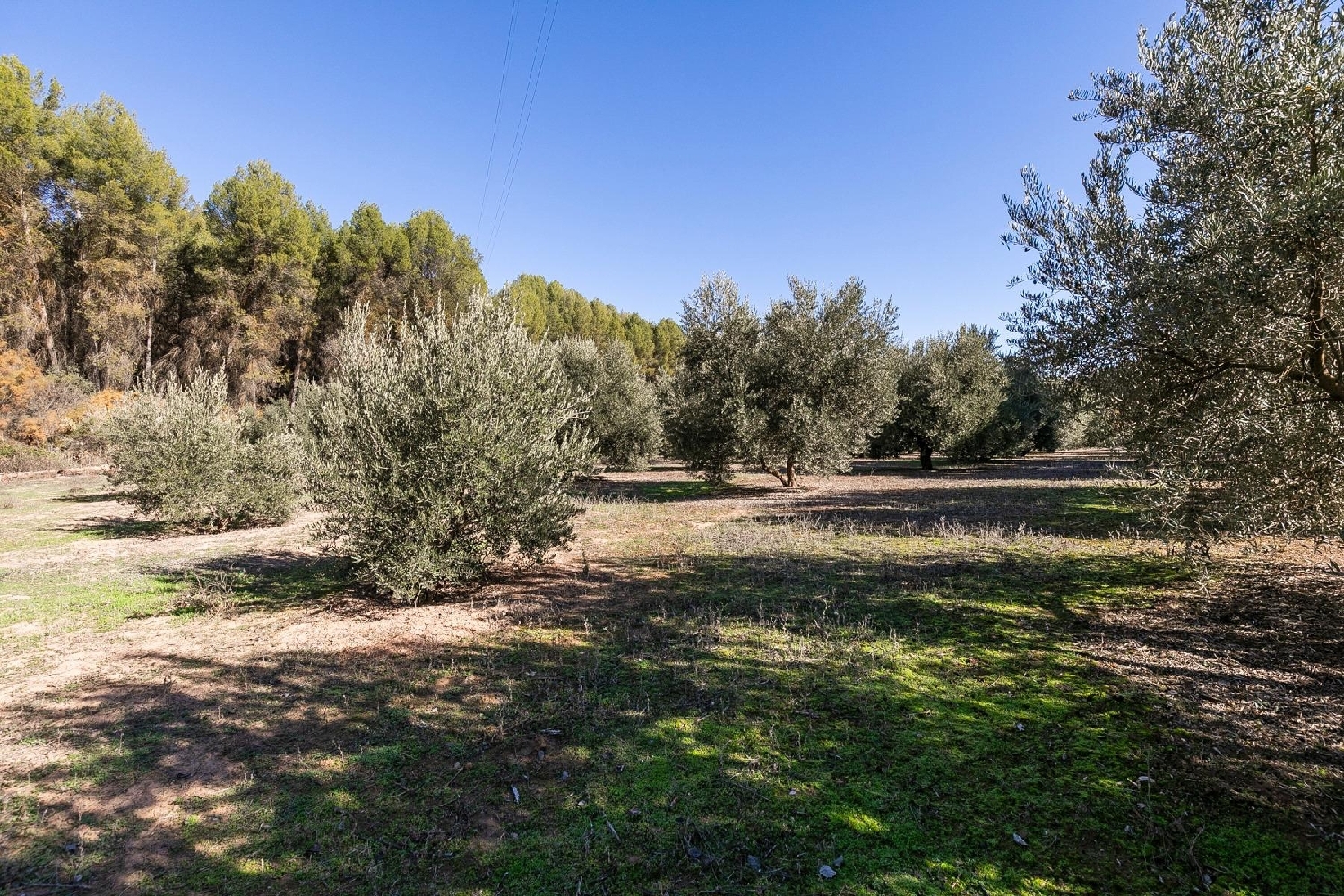  for sale plot Caparacena Vega De Granada 4