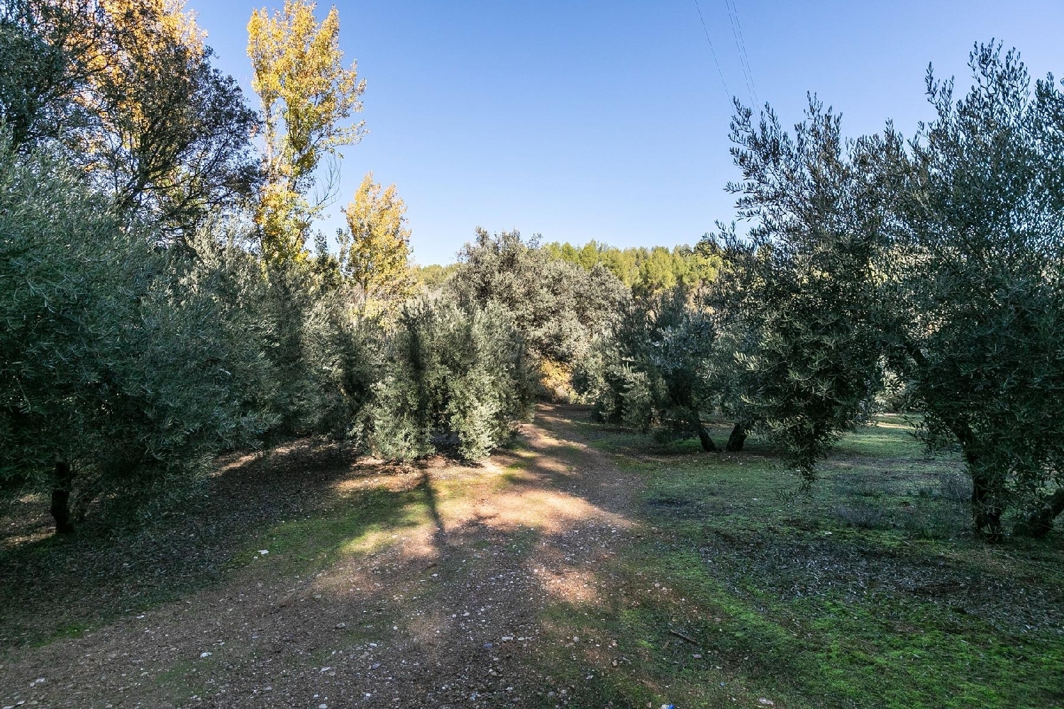 for sale plot Caparacena Vega De Granada 1