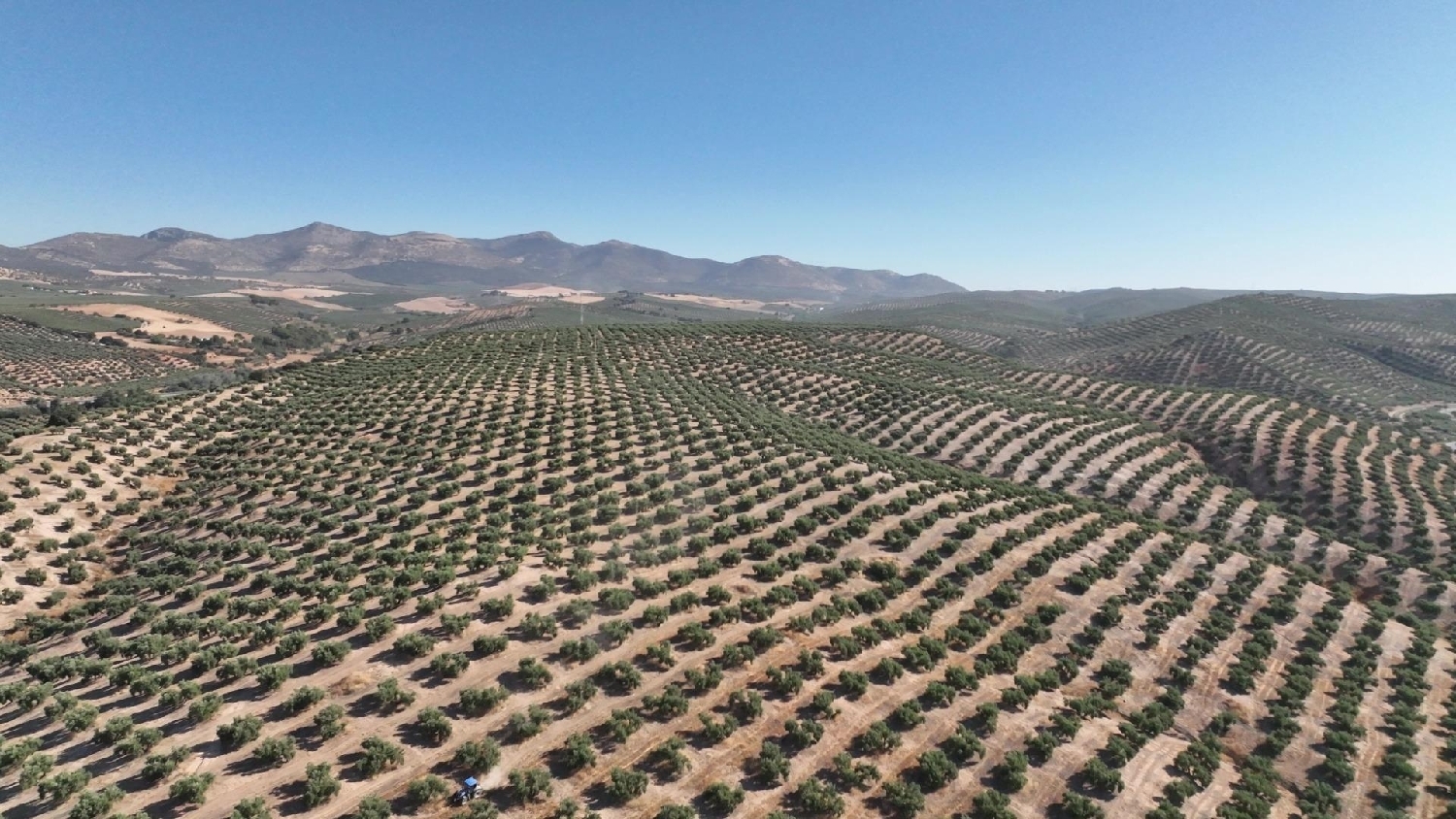  for sale plot Calicasas Vega De Granada 4