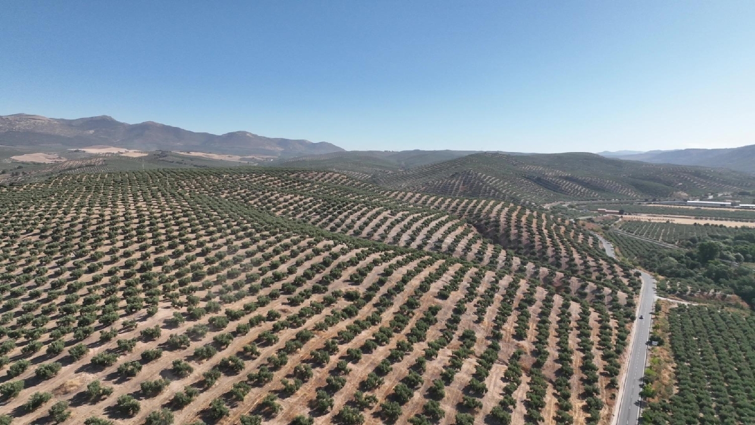  for sale plot Calicasas Vega De Granada 1