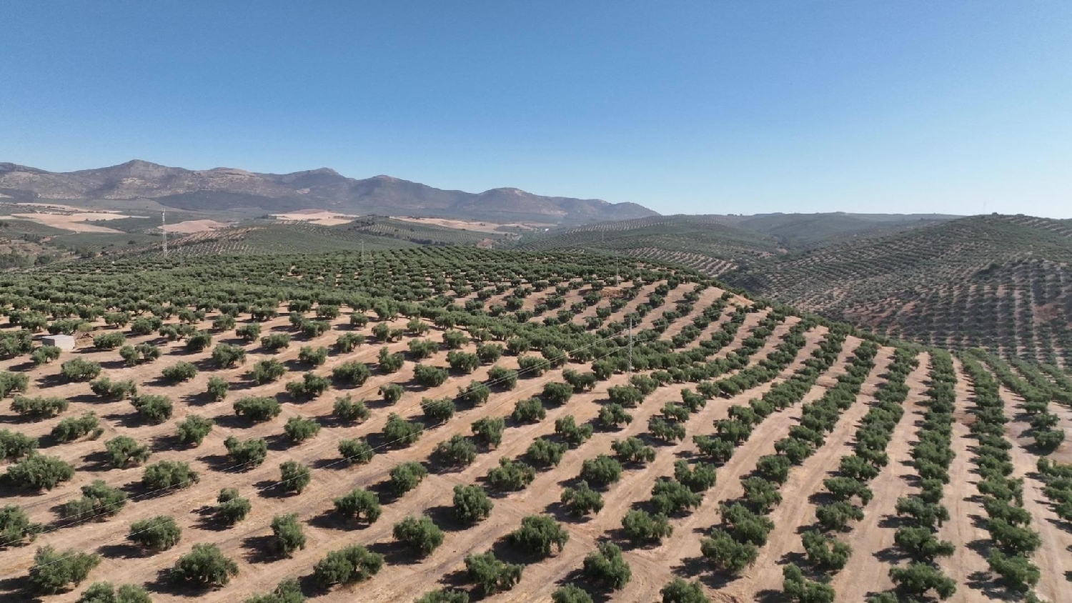  for sale plot Calicasas Vega De Granada 5