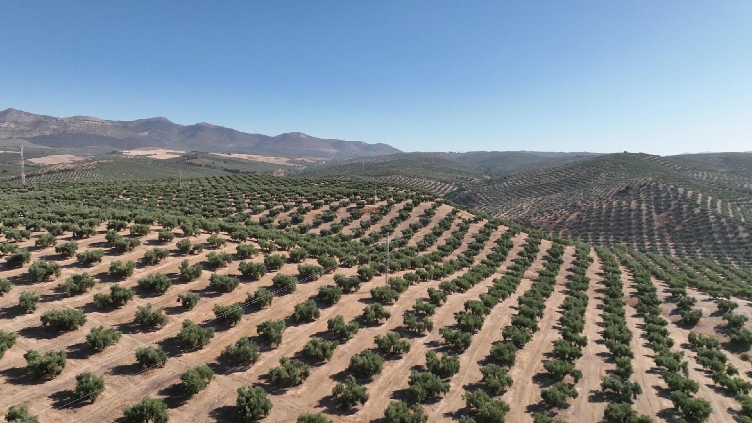  for sale plot Calicasas Vega De Granada 6