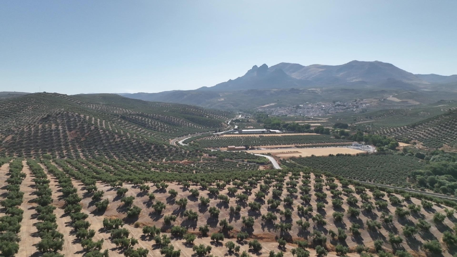  for sale plot Calicasas Vega De Granada 8