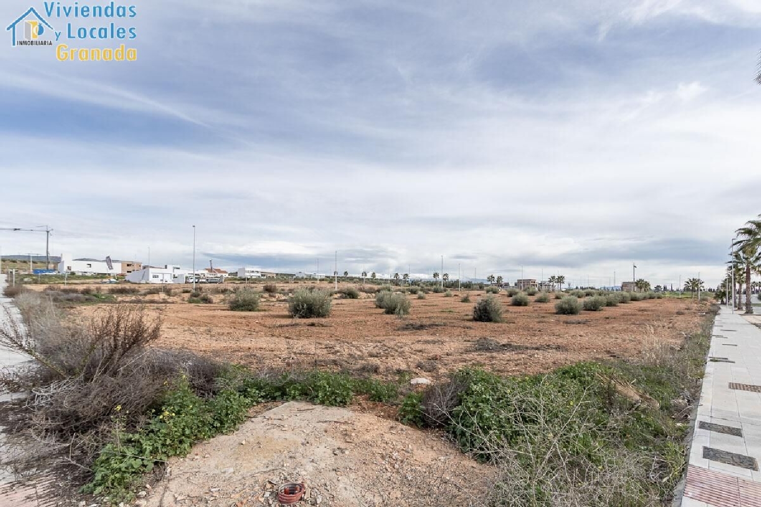 for sale plot Caparacena Vega De Granada 3