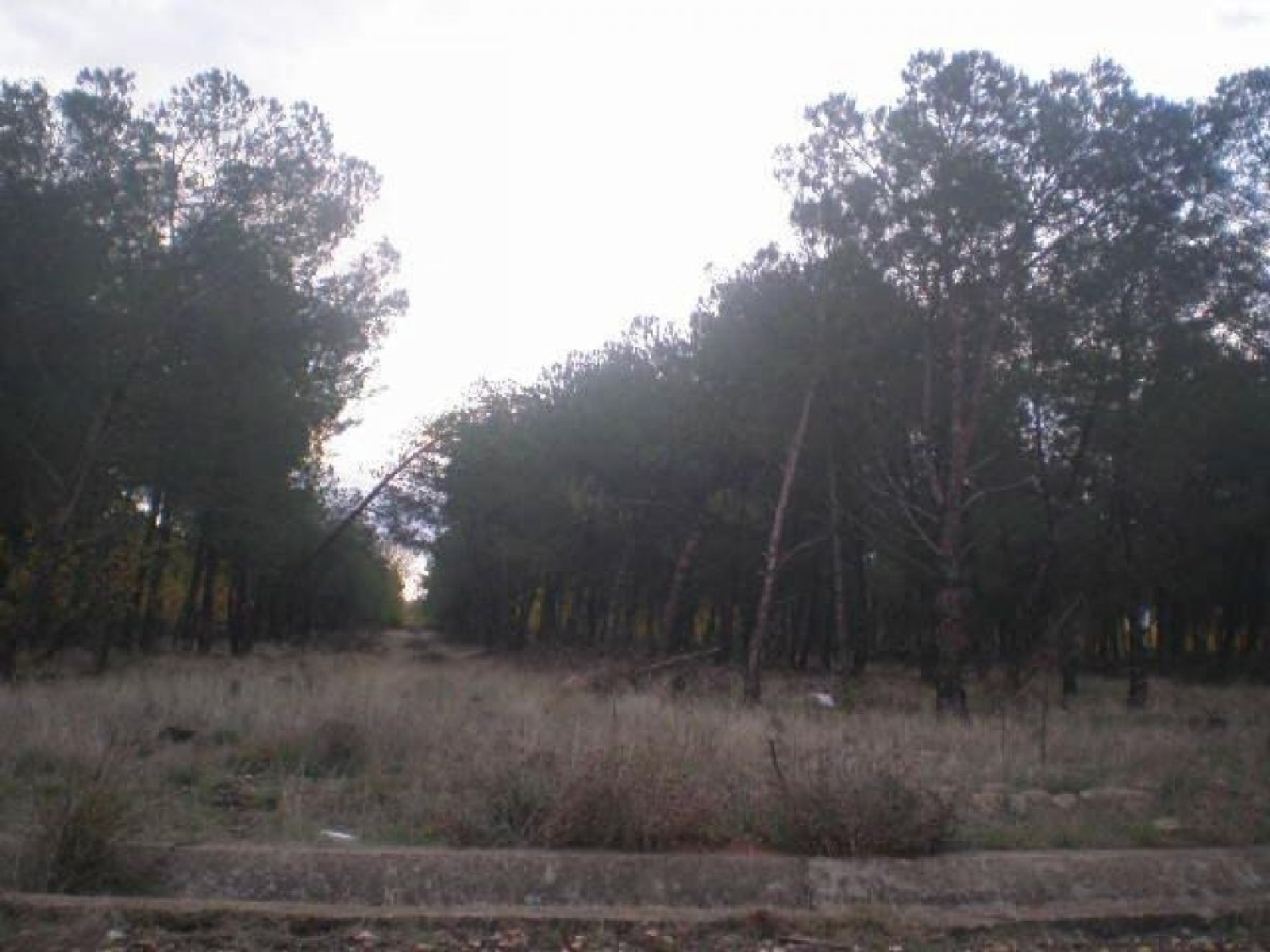  till salu tomt Calvarrasa De Abajo Campo De Salamanca 3