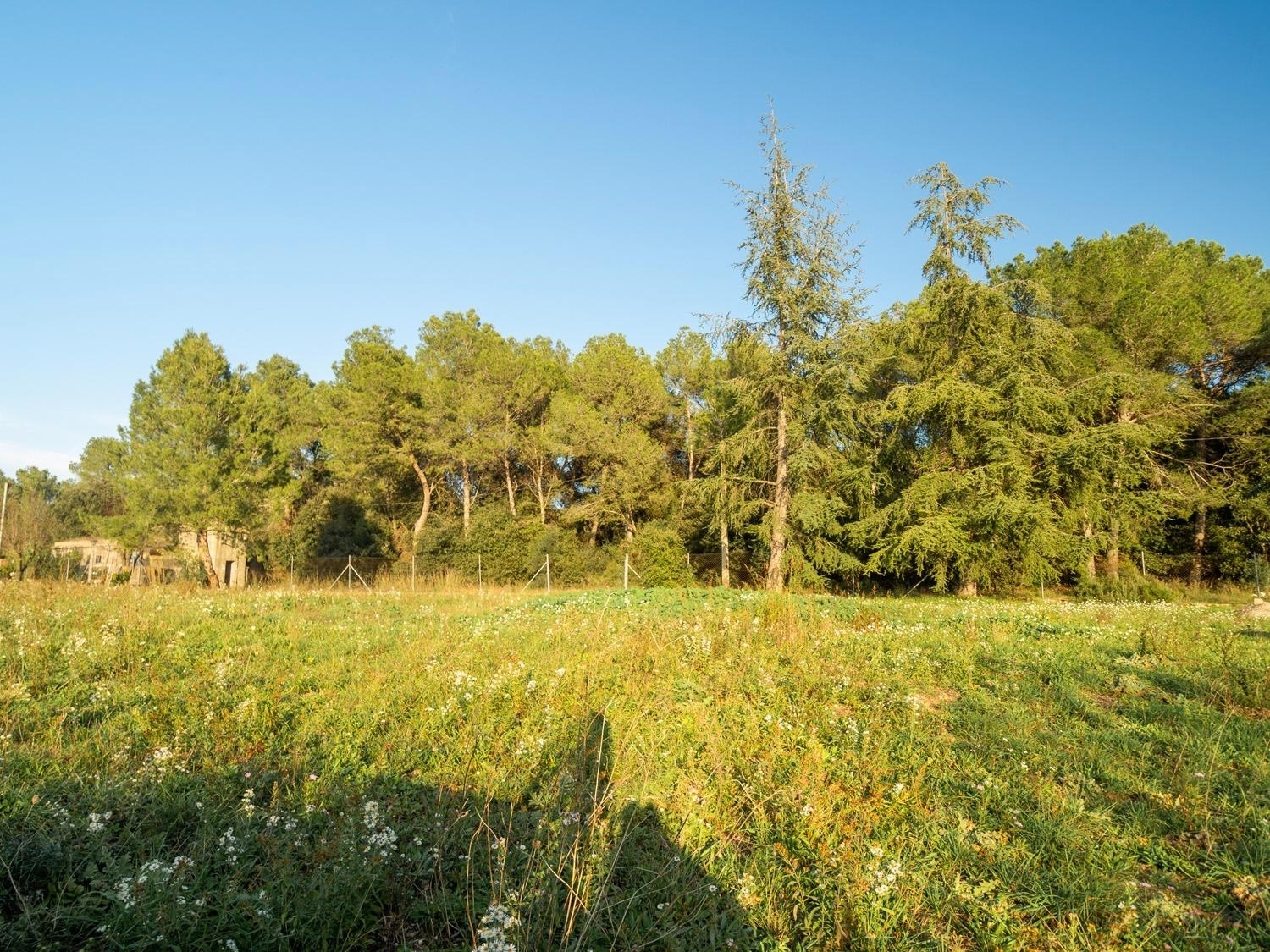  till salu tomt Camallera Alt Empordà 6