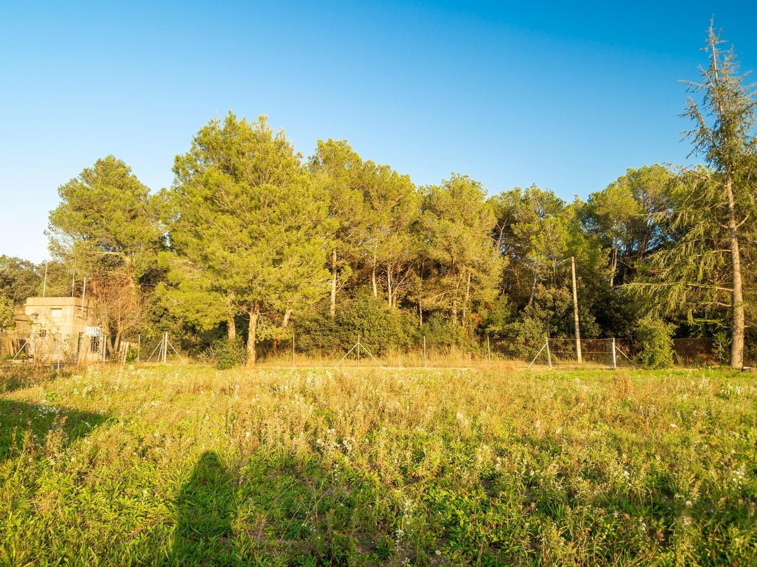  till salu tomt Camallera Alt Empordà 8