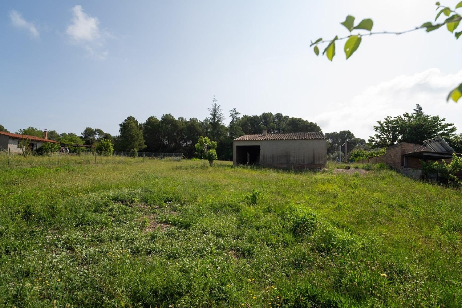  till salu tomt Camallera Alt Empordà 7