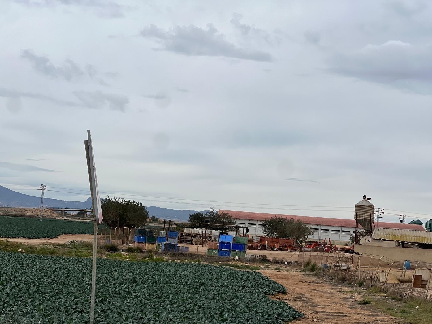  till salu tomt Campillo De Abajo Campo De Cartagena 5