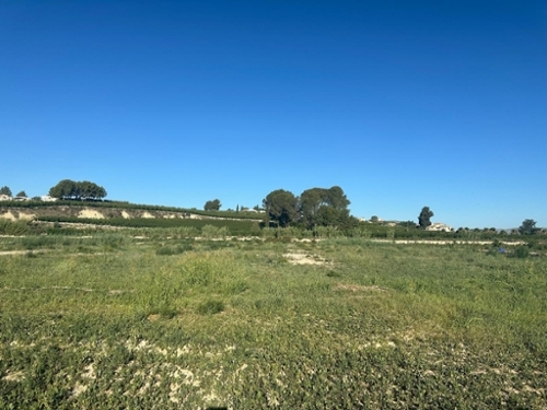 Campo Abajo Altiplano tomt foto 6251207