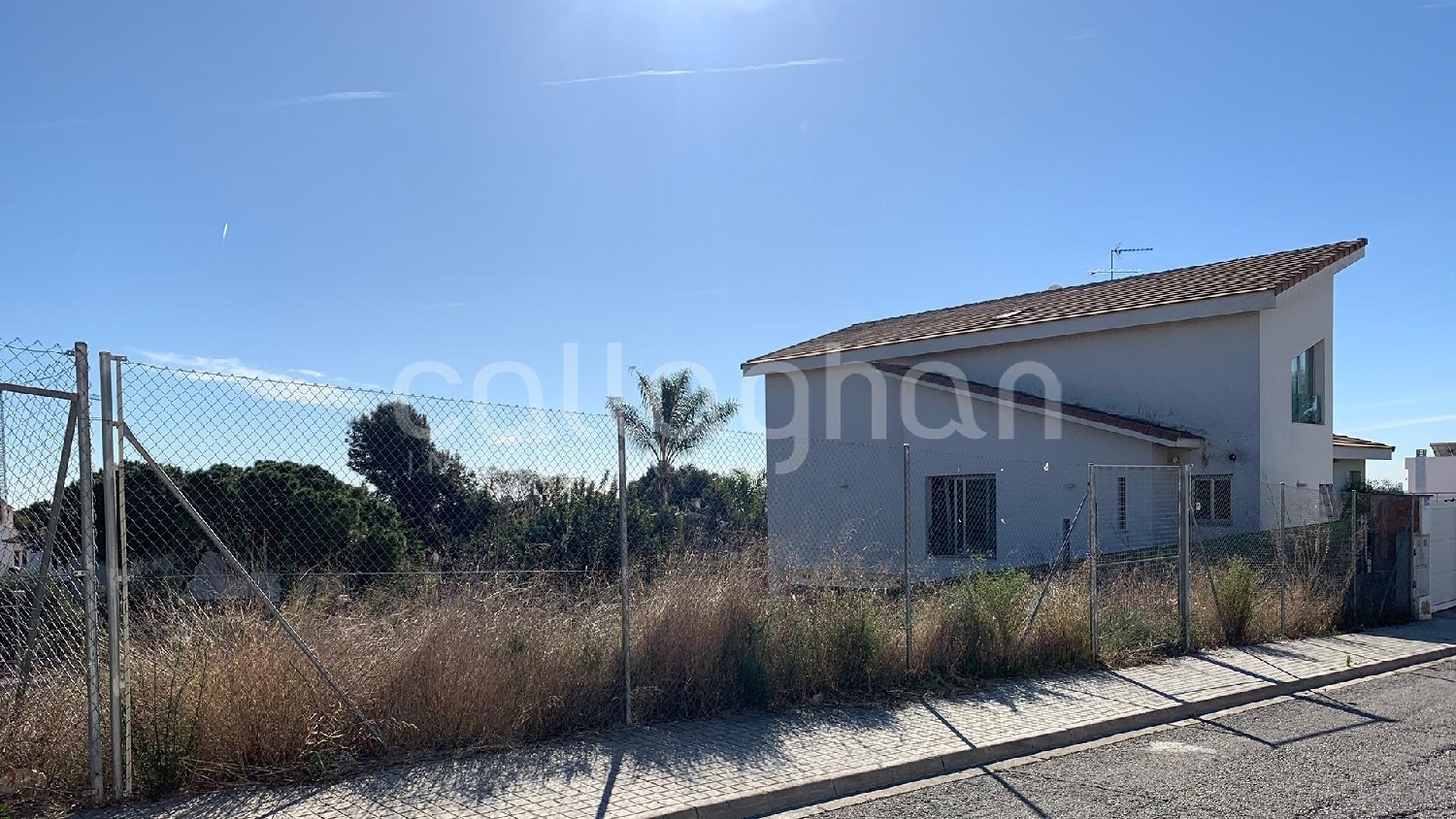  till salu tomt Campo-Olivar Horta Nord 5