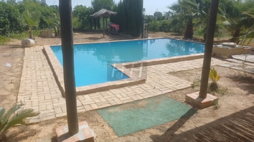 Campo-Olivar Horta Nord tomt foto 6237490