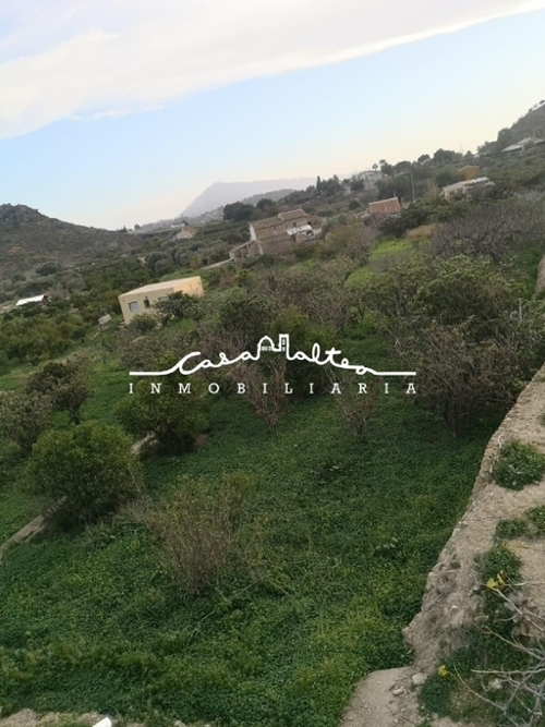 Campomanes Marina Baixa tomt foto 6258530