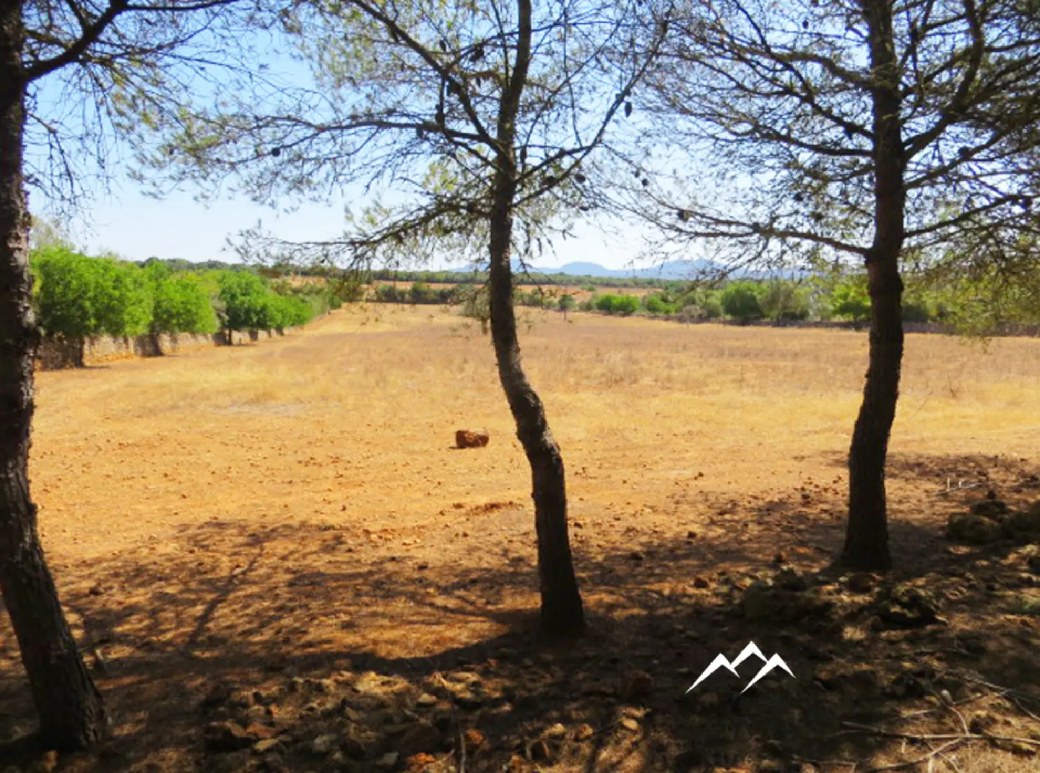  till salu tomt Campos Sud 3