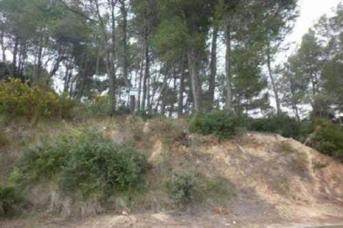 Can Bonastre Anoia tomt foto 6244822