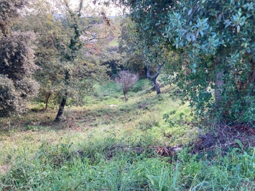Can Nadal Maresme tomt foto 6245031