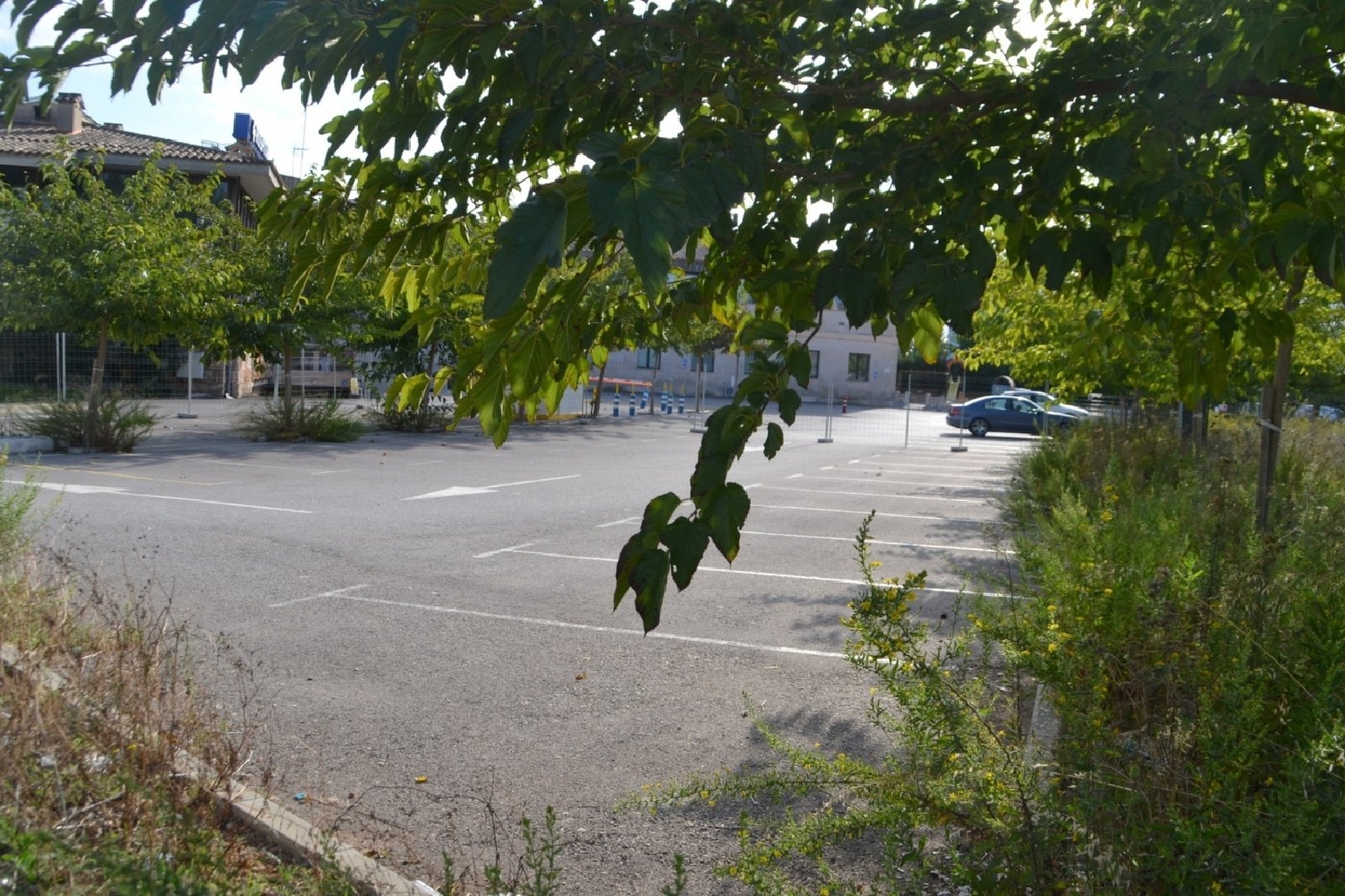  till salu tomt Ca'n Picafort Nord 5