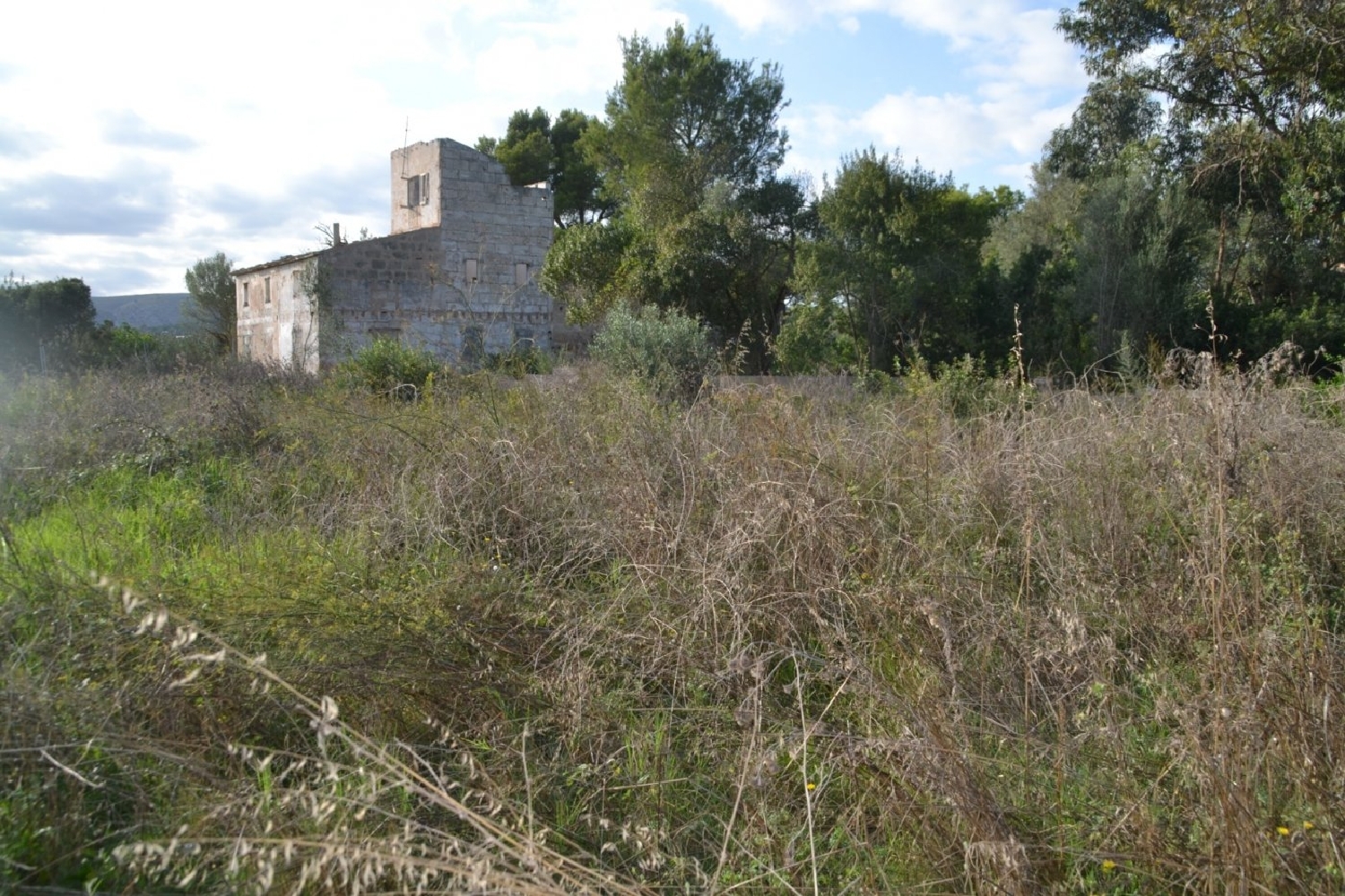  till salu tomt Ca'n Picafort Nord 7