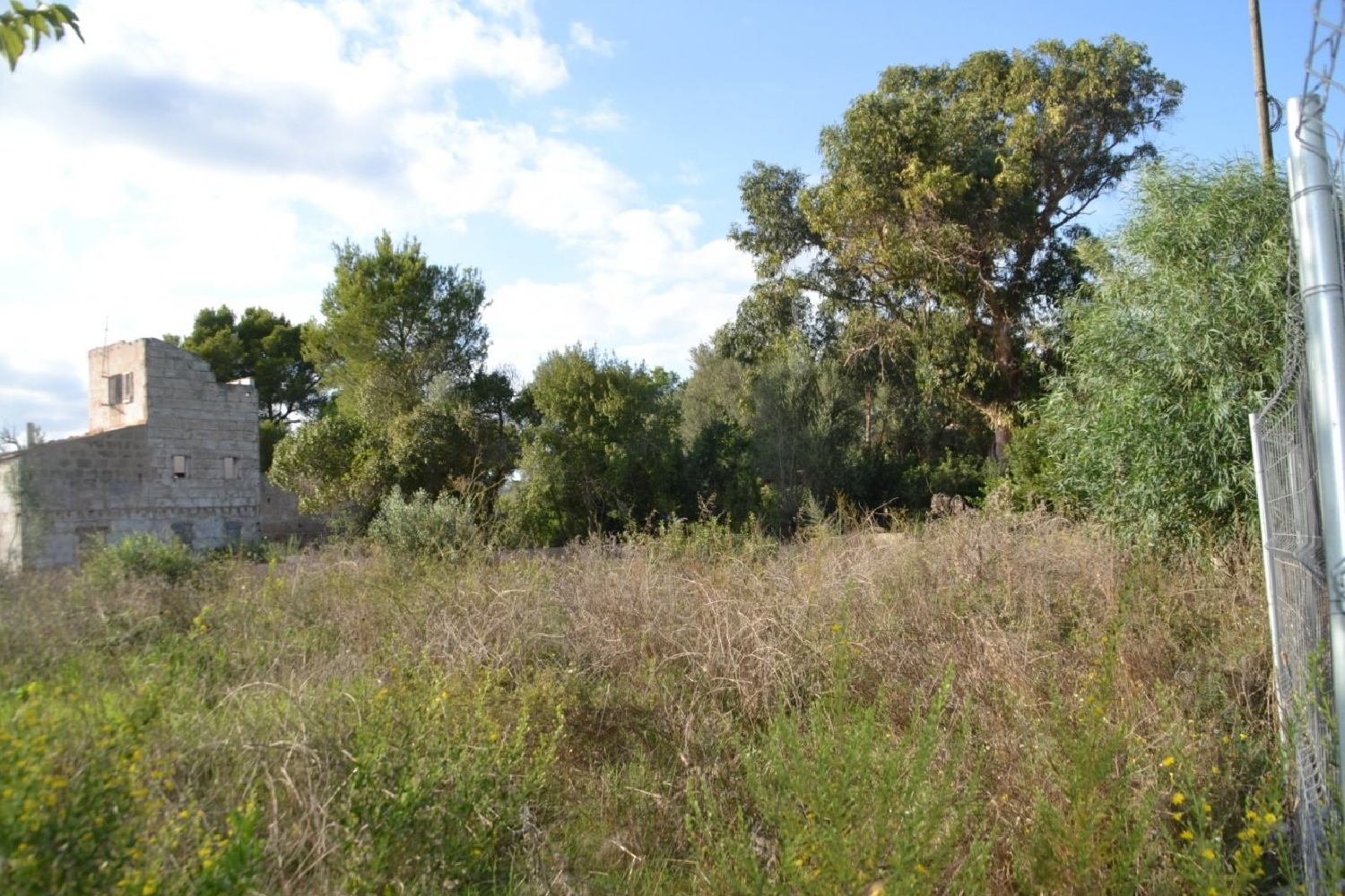 till salu tomt Ca'n Picafort Nord 3