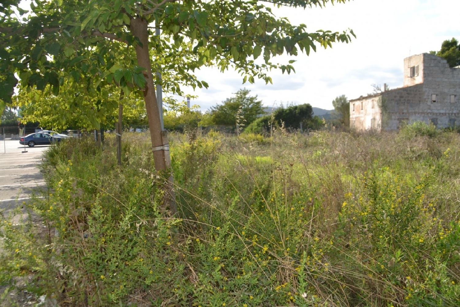  till salu tomt Ca'n Picafort Nord 4