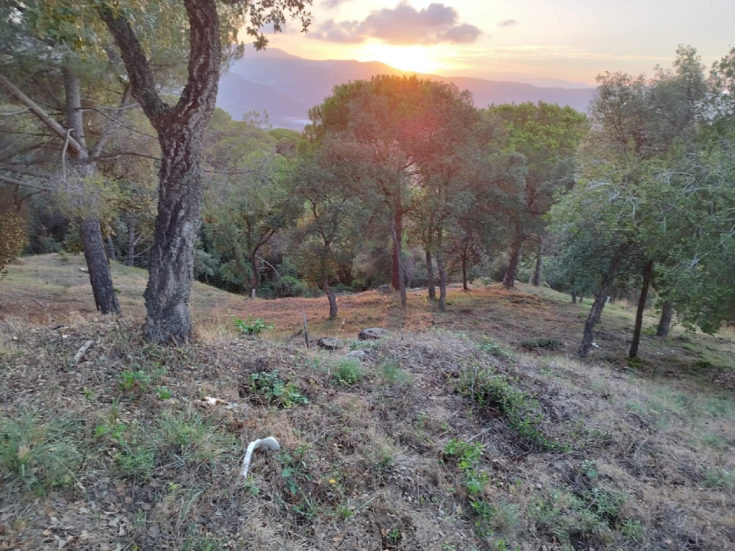  till salu tomt Can Raimi Maresme 6