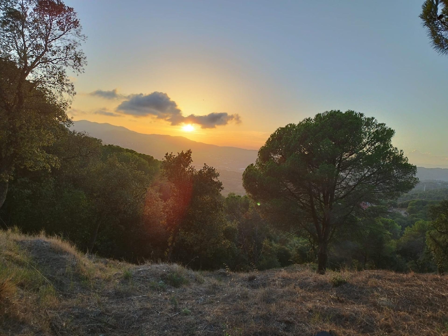  till salu tomt Can Raimi Maresme 7
