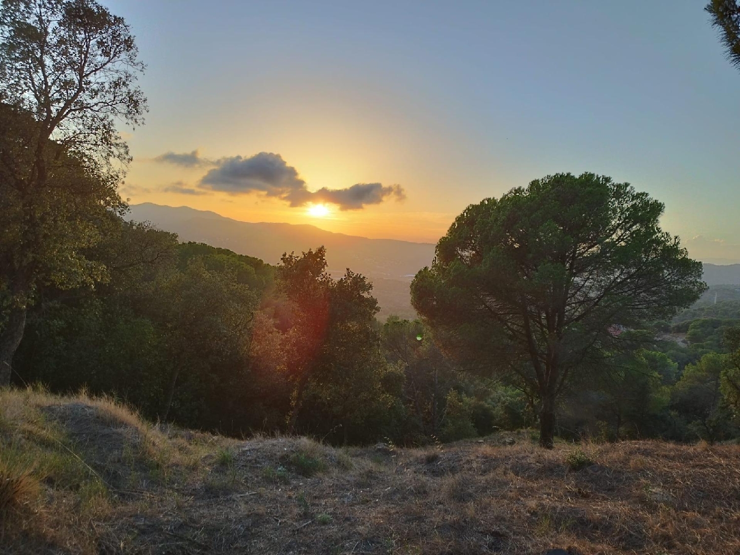  till salu tomt Can Raimi Maresme 1