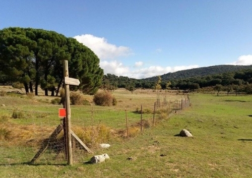 Cañada De León Campiña De Jerez tomt foto 6252642