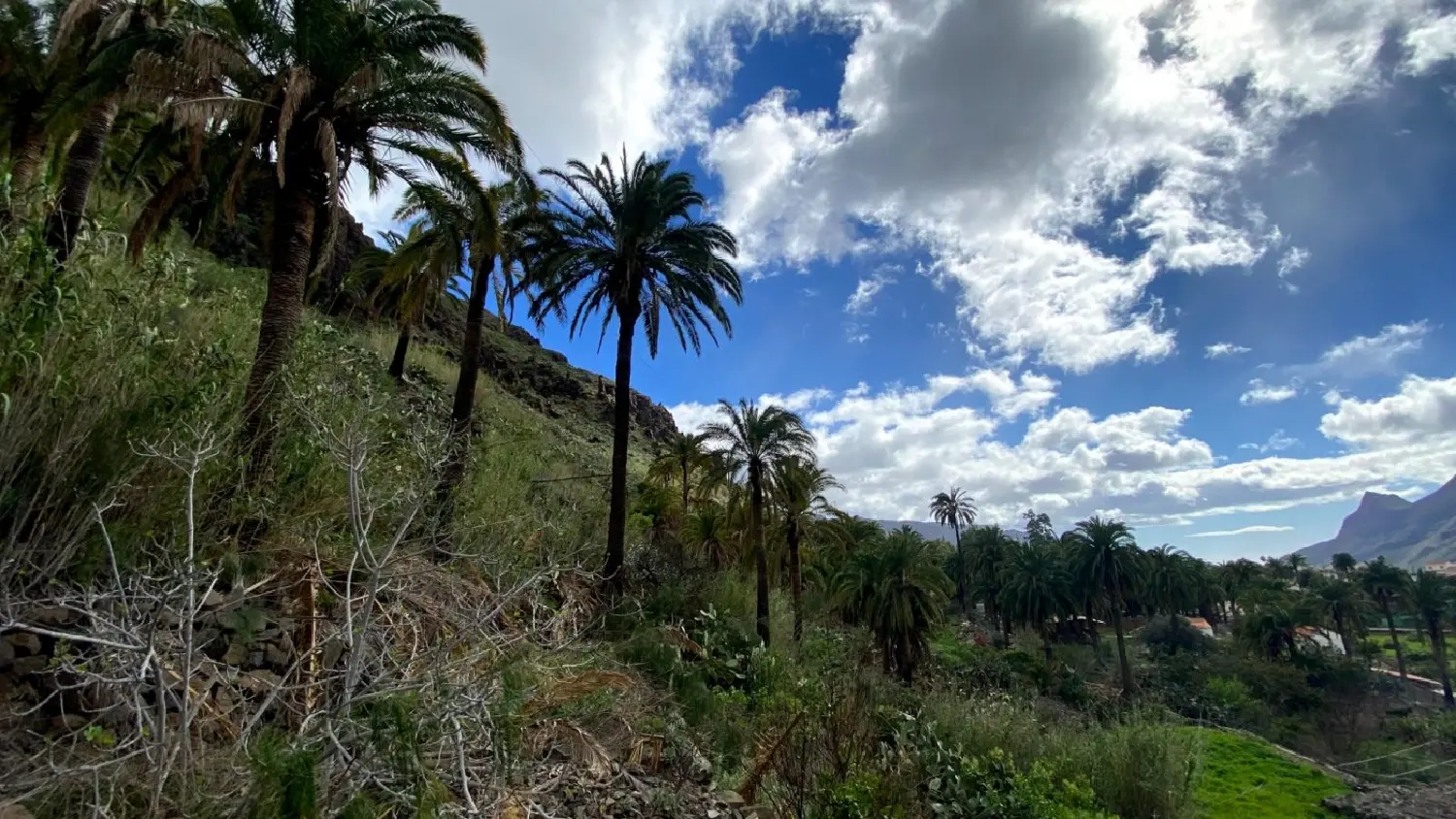 à vendre terrain Lugar Ladera Alta Palmas De Gran Canaria (Las) 2