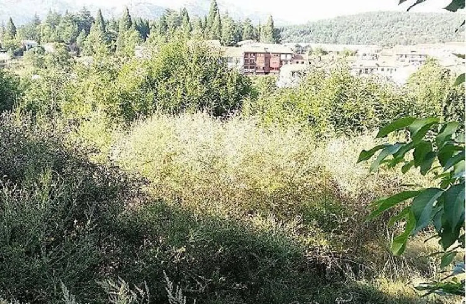  till salu tomt Candelario Sierra De Béjar 3