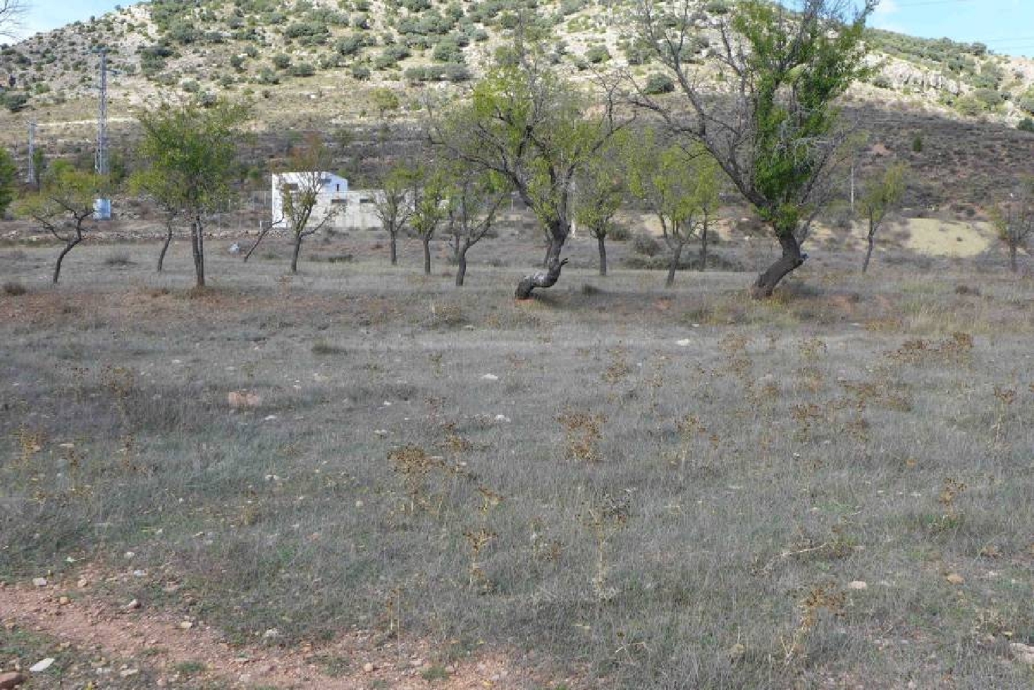  till salu tomt Cañete Serranía Baja 6